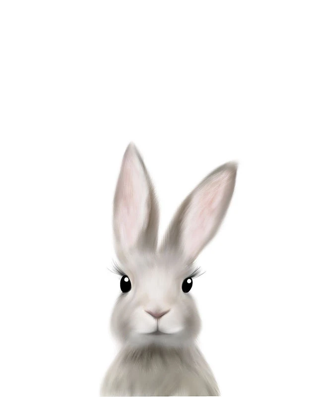 cute-bunny-illustration-art-print